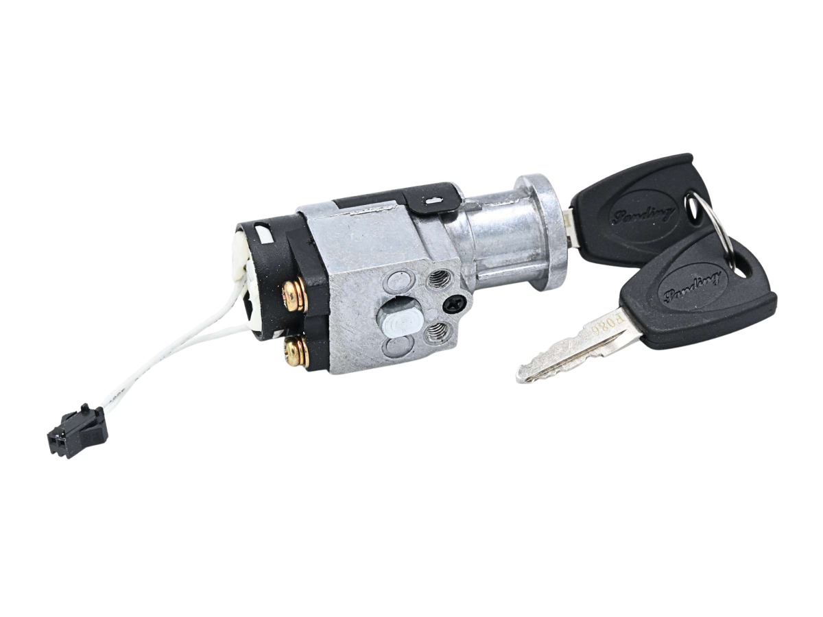 Serratura batteria con chiavi e cablaggio elettrico - Techbike