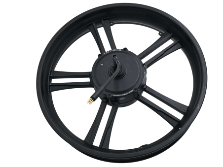 Cerchio in lega Techbike 20x4.00 con motore 48V 250W - Techbike