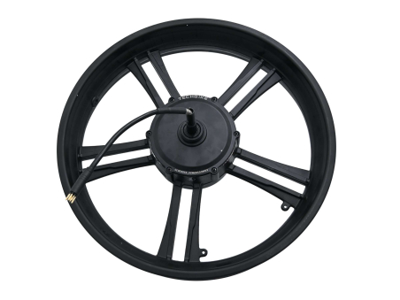 Cerchio in lega Techbike 20x4.00 con motore 48V 500W - Techbike