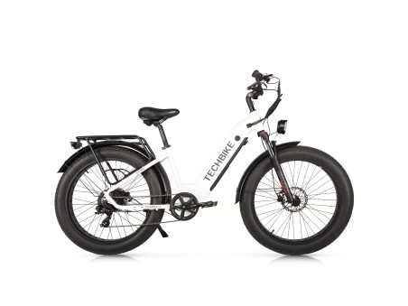 Techbike Stone 2.0 - E-Bike Fat