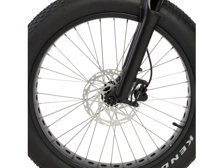 Techbike Big Muscle - E-Bike Fat ad Alte Prestazioni