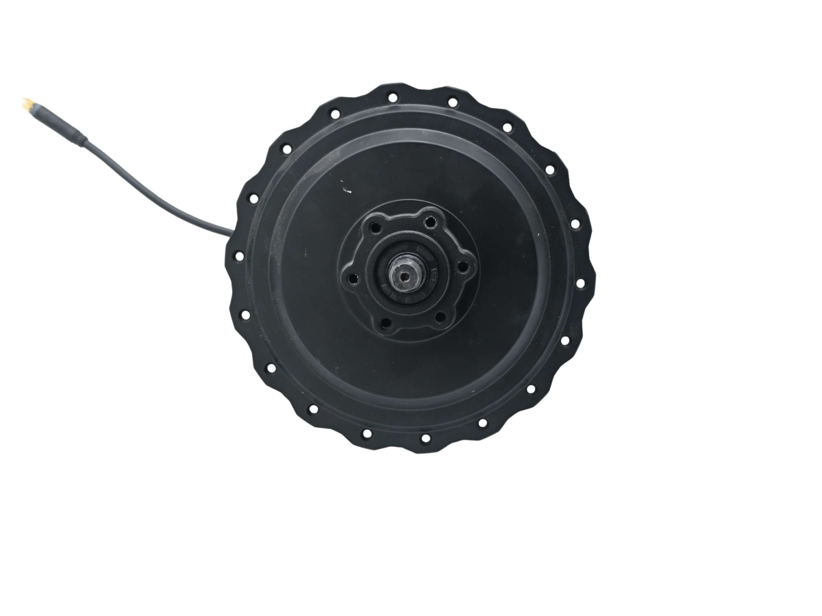 Motore posteriore 36V 250W per fat bike - Techbike