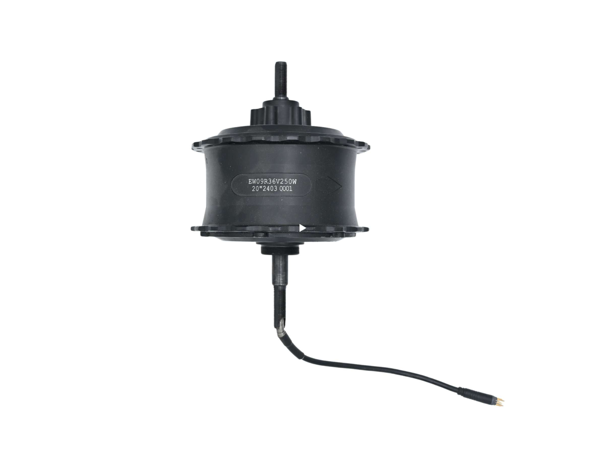 Motore posteriore 36V 250W per fat bike - Techbike