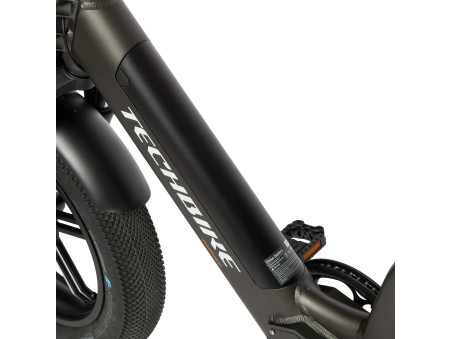 Techbike Bimax - E-Bike Fat
