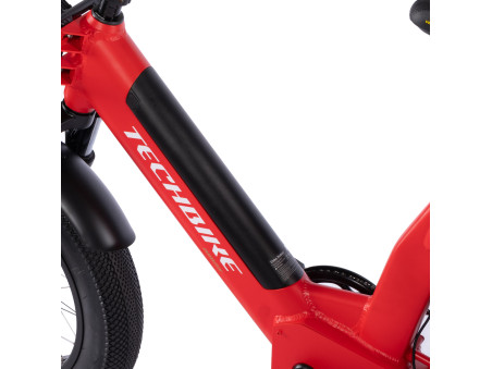 Techbike Bimax - E-Bike Fat