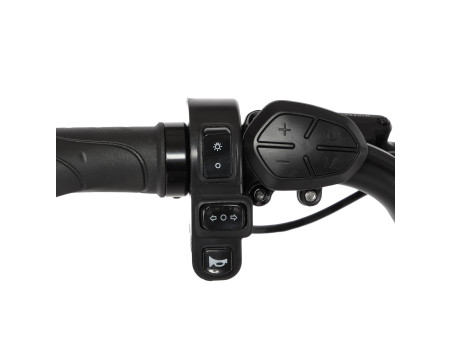 Techbike Bimax - E-Bike Fat