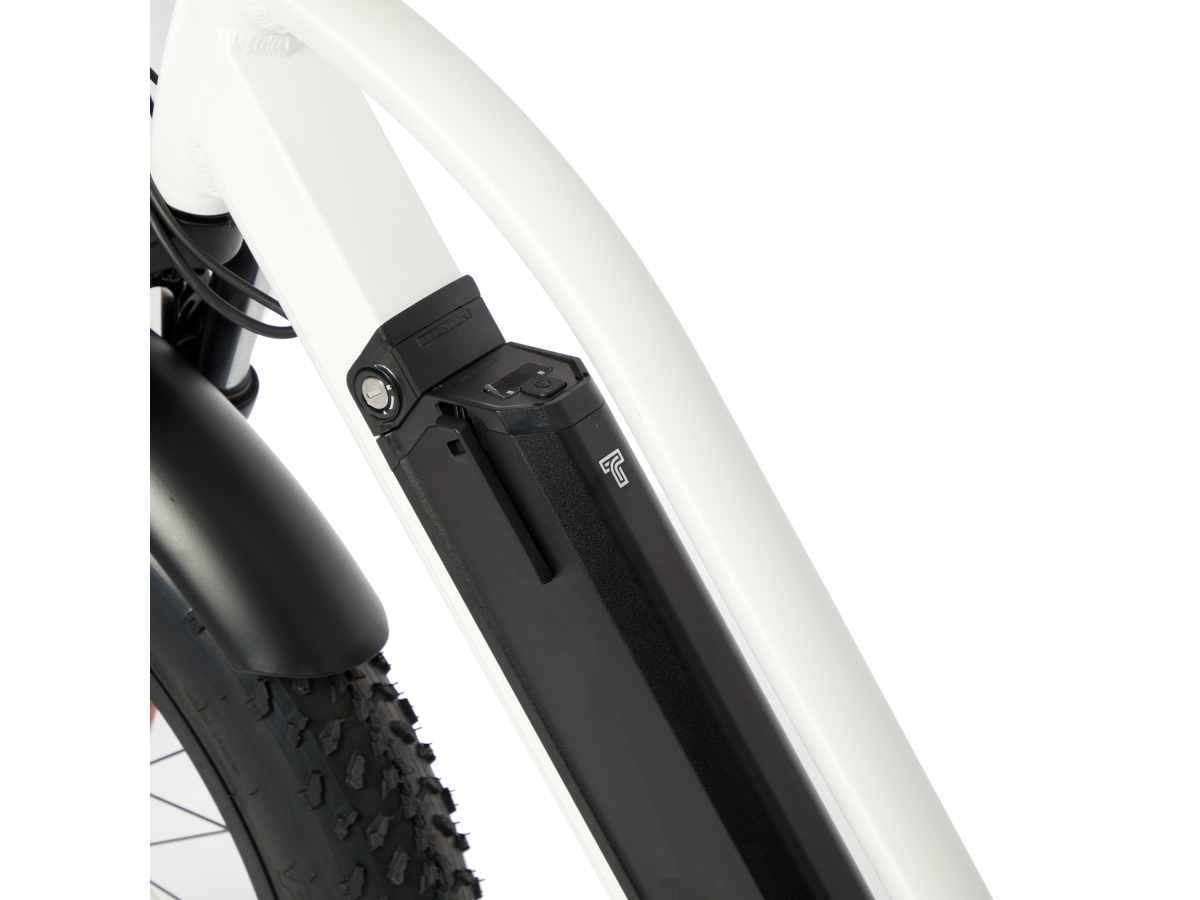 Techbike Stone - E-Bike Fat