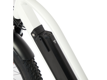Techbike Stone - E-Bike Fat