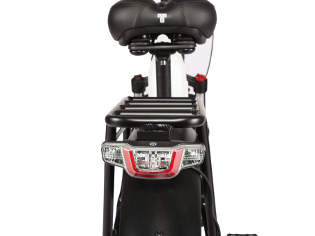 Techbike Stone 2.0 - E-Bike Fat