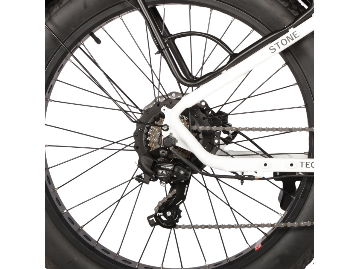 Techbike Stone 2.0 - E-Bike Fat