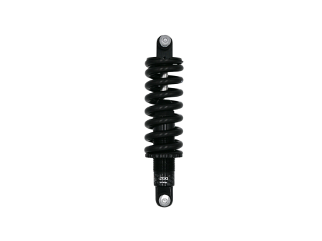 Ammortizzatore Exa Form 260 Coil Spring – Techbike